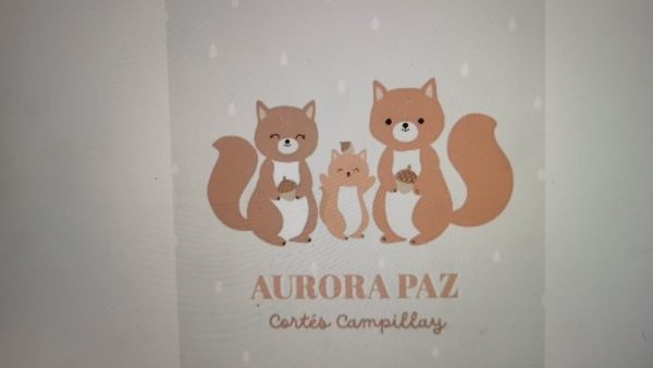 Carnet pediátrico Baby Girl - Imagen 43