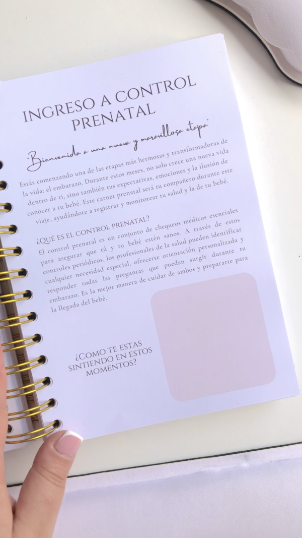 Diario de Embarazo 4 en 1 - Imagen 6