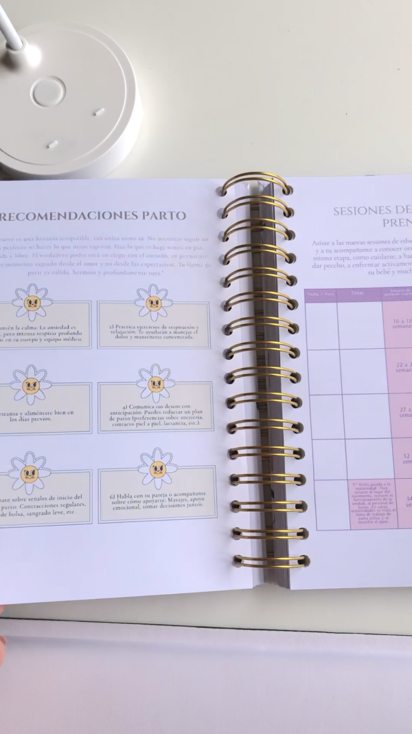 Diario de Embarazo 4 en 1 - Imagen 13